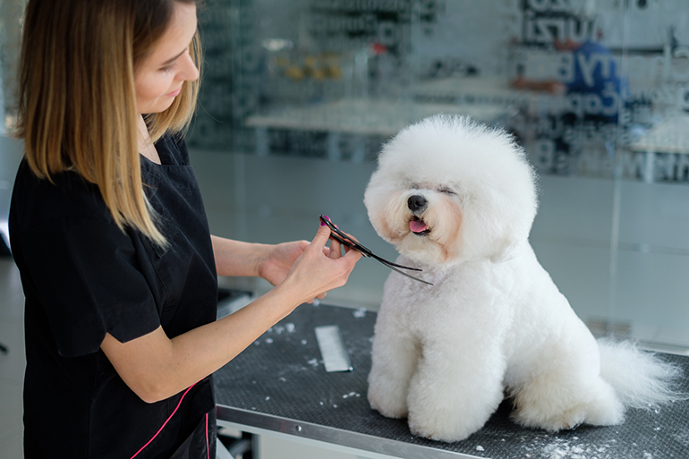 how much does it cost for dog grooming at petco